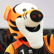 Tazer the Tiger